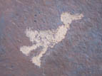 New Mexican Petroglyph of a duck