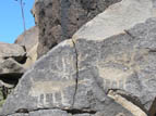 Mule deer petroglyph