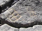 Grid petroglyph